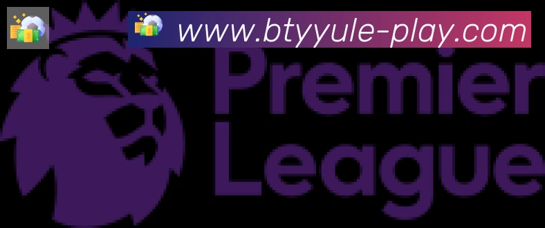 B体育官网合作伙伴